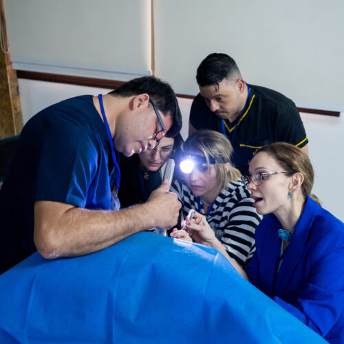 Curso Histerectomía Vaginal