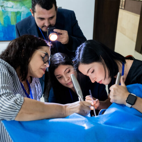 Curso Histerectomía Vaginal