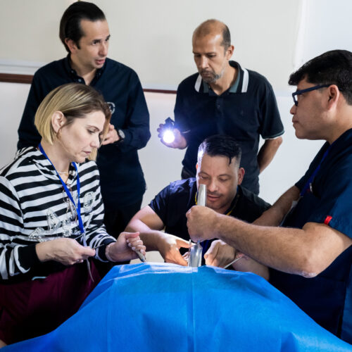 Curso Histerectomía Vaginal