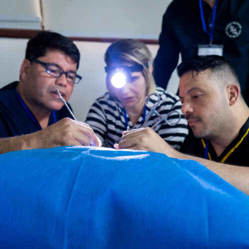Curso Histerectomía Vaginal