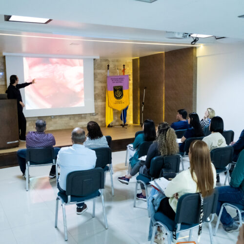 Curso Histerectomía Vaginal